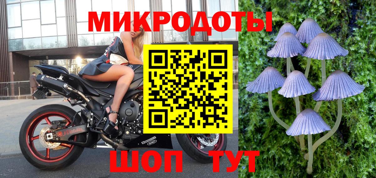 Галлюциногенные грибы Cubensis Тверь